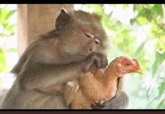 babateana1's tweet photo. @advocatemahere https://t.co/M5UdDMUCAe