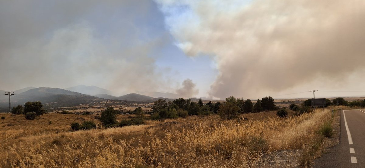 InForestMed's tweet photo. @mario_barry1 @WWFespana @MonicaParrill @CREAF_ecologia @ctforestal @CSIC @Fuego_lab @EFEverde @EPmedioambiente @rtvenoticias No, no arden igualmente.
Cambia la intensidad y la rapidez de propagación. 
En condiciones extremas (sequía prolongada, ola de calor, vientos fuertes, CC) los frentes de llamas son convectivos y pueden avanzar a "saltos" cientos de m.
Zonas mosaico dan oportunidades de control. https://t.co/AJeoHPjCo4