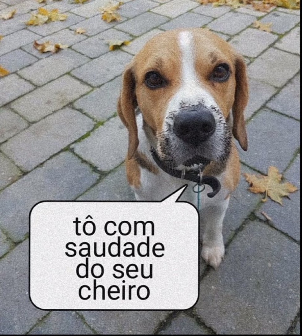 relacionemos's tweet photo. https://t.co/5EgsD6EqUc