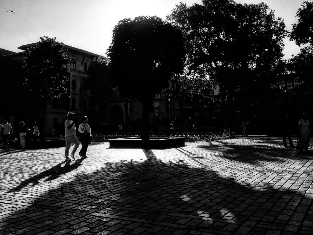 meltemsumeli's tweet photo. Gölge 
Photo by Meltem Sumeli 📷 
#streetphotography #photo #bnw https://t.co/WiR3EU1uRL
