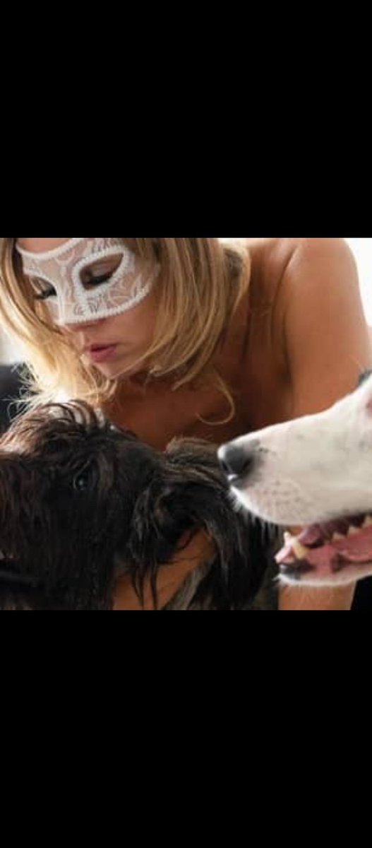 Ktsangel9's tweet photo. Dog's do it better,. Send me a dm let's vibe E-mail 📧-Knotstarpawsmanagement@gmail.com. Hi, add my Zangi private number for confidential correspondence and calls

8765869485

https://t.co/KMADSlyT62 #dogs #knitting #k9 #gaysex #usa #uk #Germany https://t.co/fLsNYxgdxD