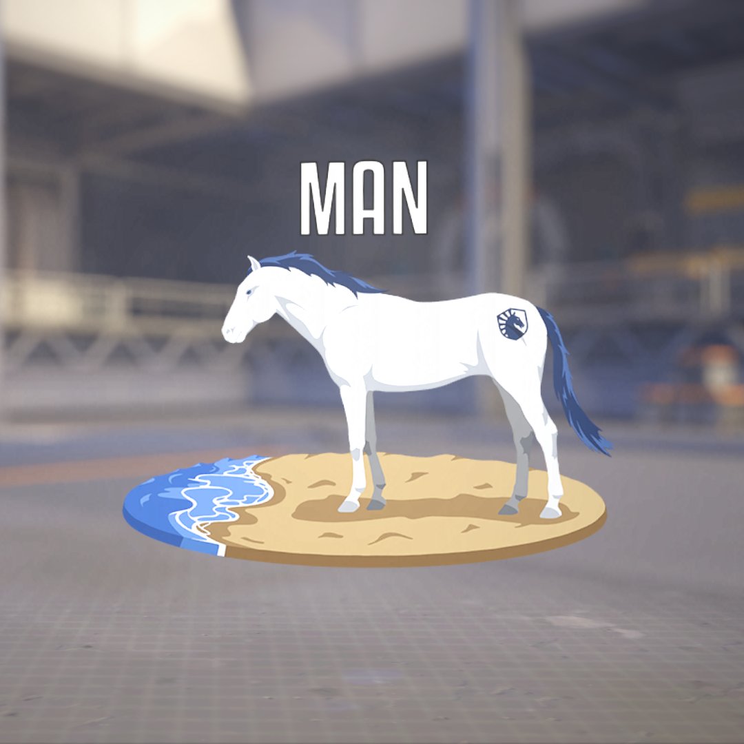 HazeletOW's tweet photo. equipping this on Orisa https://t.co/2hOz2VPePi