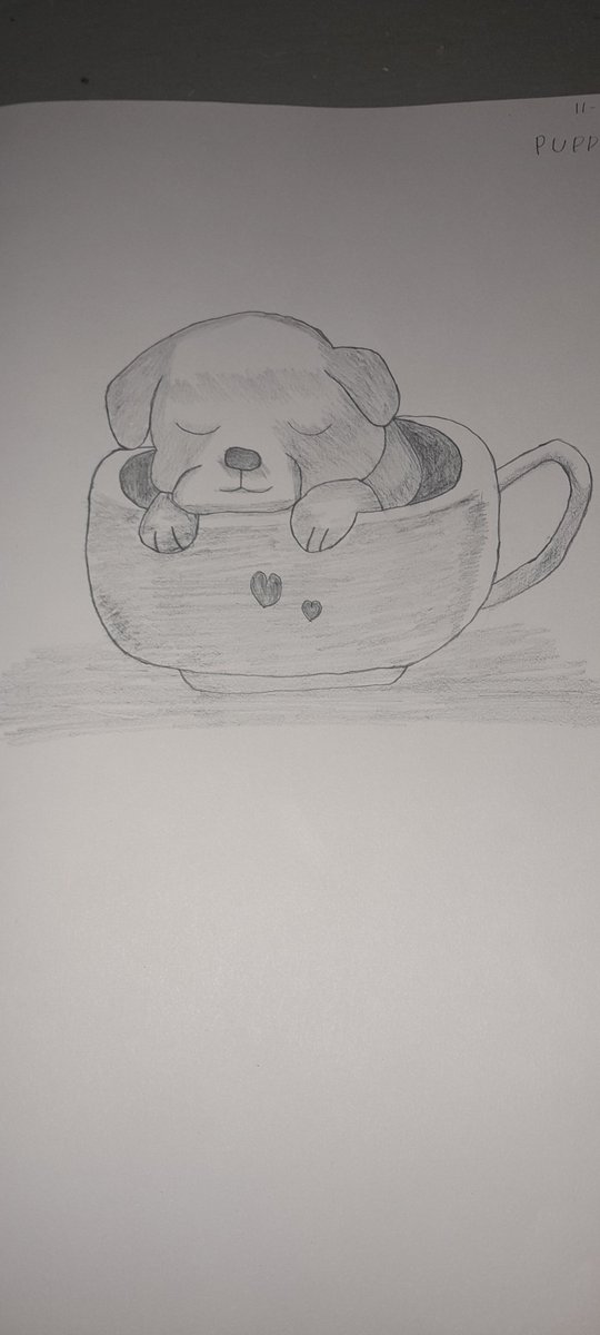 Mathijs1995's tweet photo. #puppy #cup #pencil #drawing https://t.co/ieRu7slrZ4