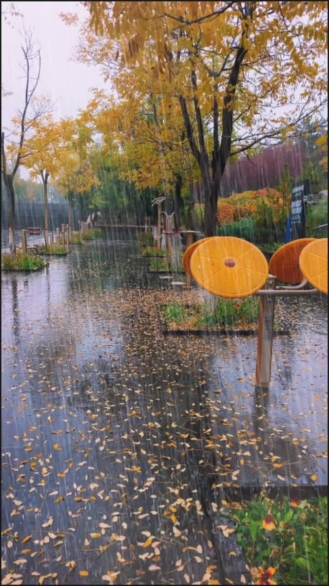 Matthew92902442's tweet photo. A stranger held the door for me in the rain and gave me an extra umbrella. Small warm moments make the day ， https://t.co/sTNgZoHcKY
