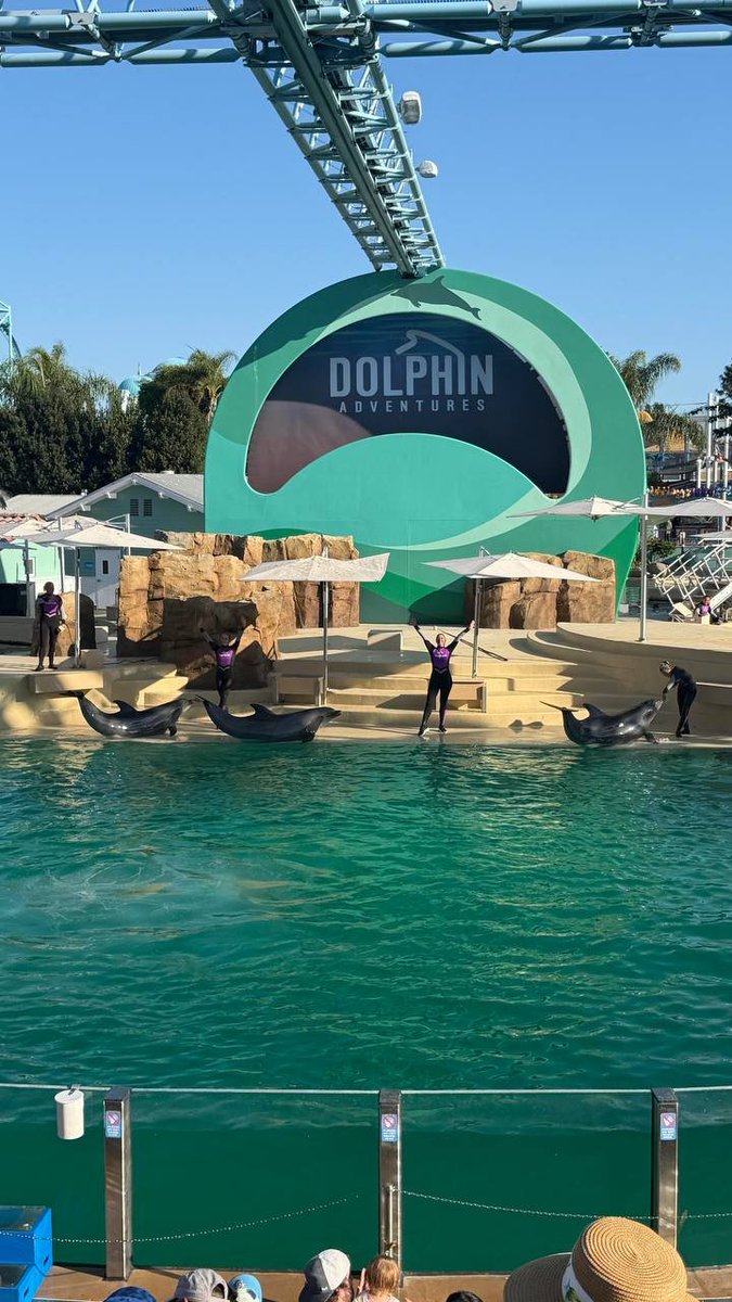 CornerstoneBsUg's tweet photo. Ocean Park. https://t.co/G0rlCIFMIi