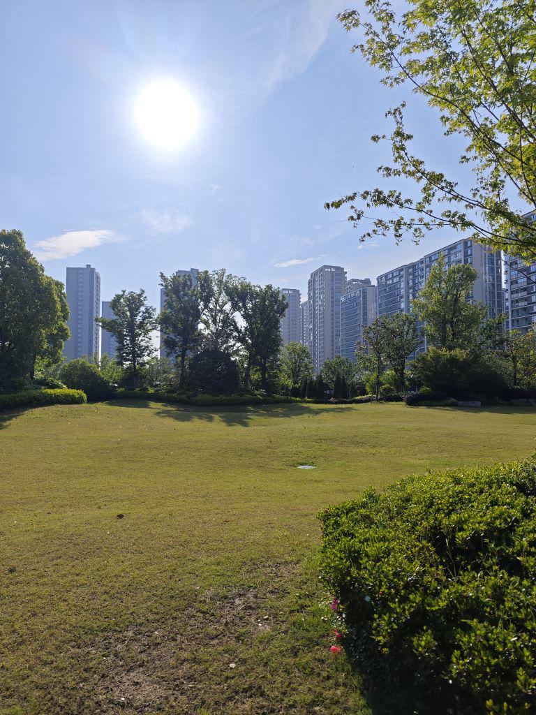 Richard24975683's tweet photo. Join our neighborhood cleanup this Sat (9AM-12PM) at Central Park! Gloves + snacks provided. Meet new neighbors u0026 spruce up our community. Sign up at link! https://t.co/RCFcYDsC6V