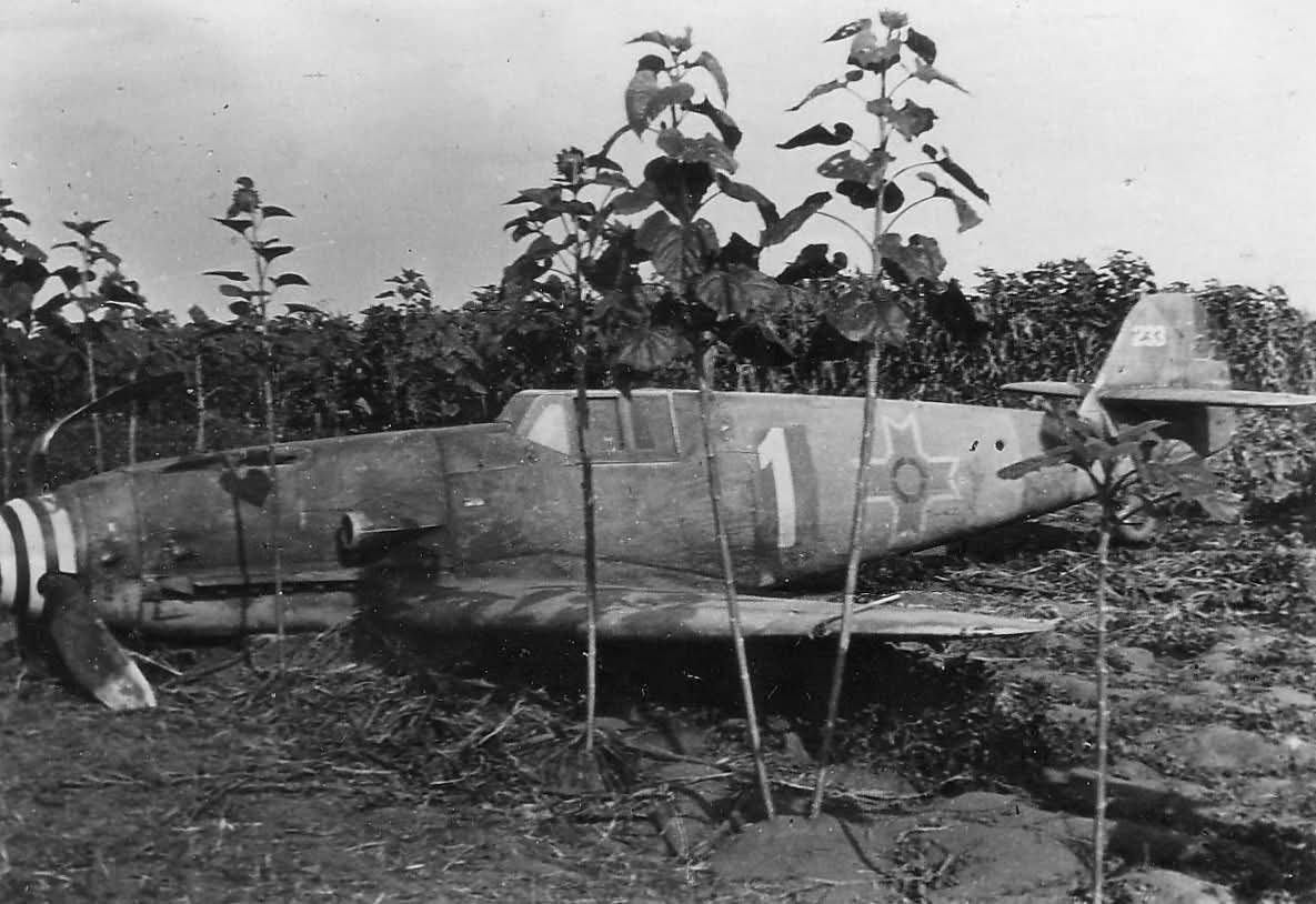 GHarward's tweet photo. A Messerschmitt of the Romanian 53rd Fighter Squadron after a forced landing near the village of Trestieni west of Bucharest in July 1944. https://t.co/Me75sjbRhD