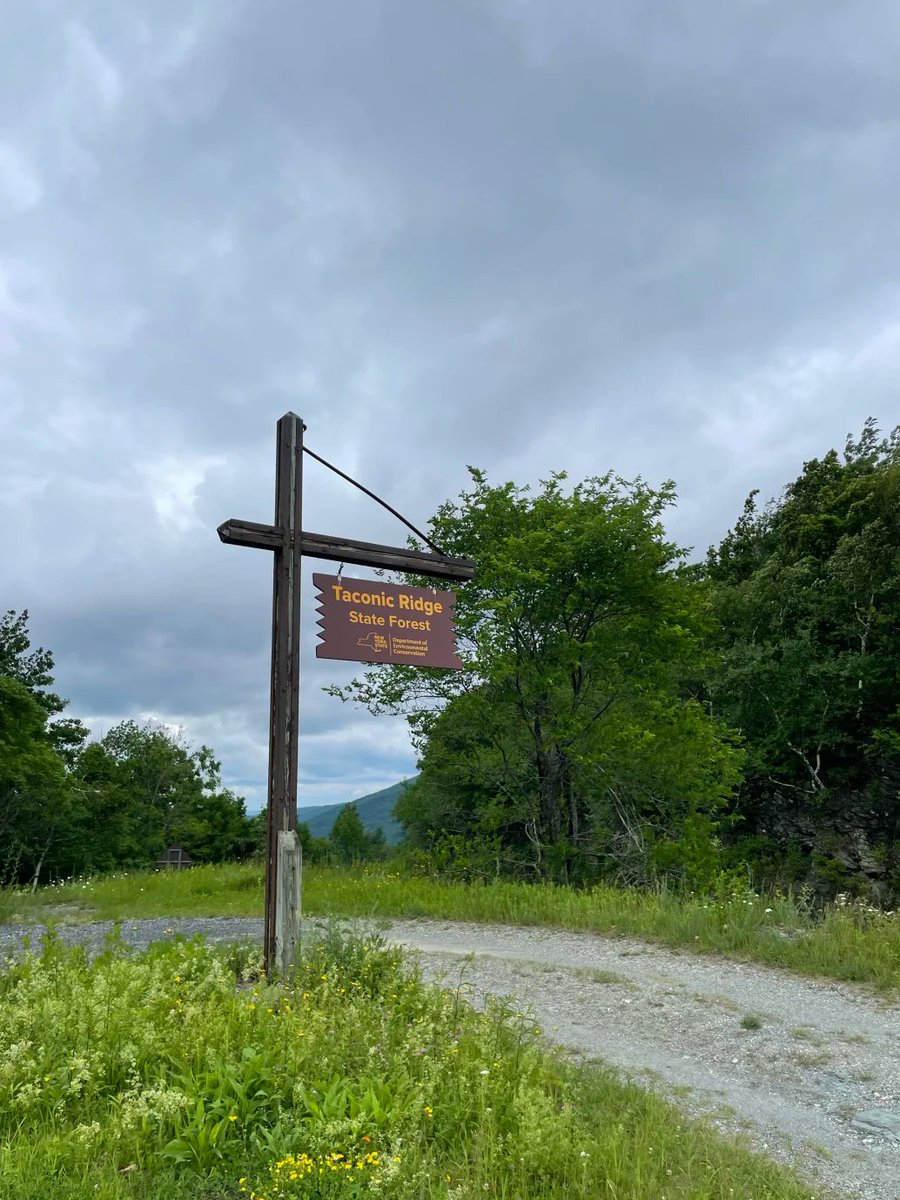 Hazel0Ha's tweet photo. Taconic Ridge State Forest https://t.co/TCRveDOLje