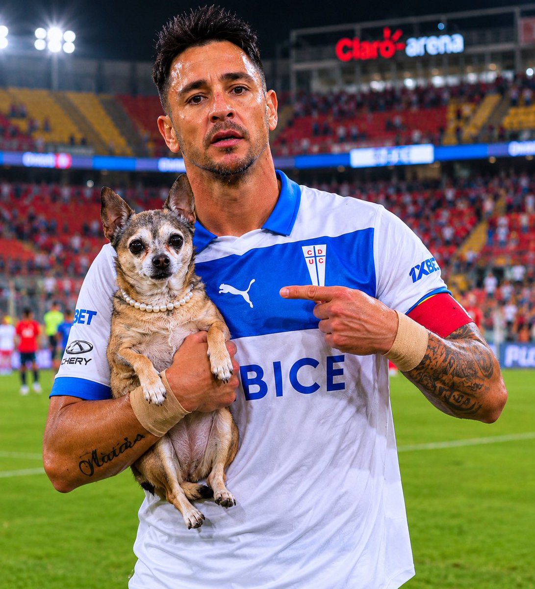 CafeConNapalm's tweet photo. HOY ES CATÓLICA #VamosUC #LosCruzados https://t.co/LxAVGLqNen