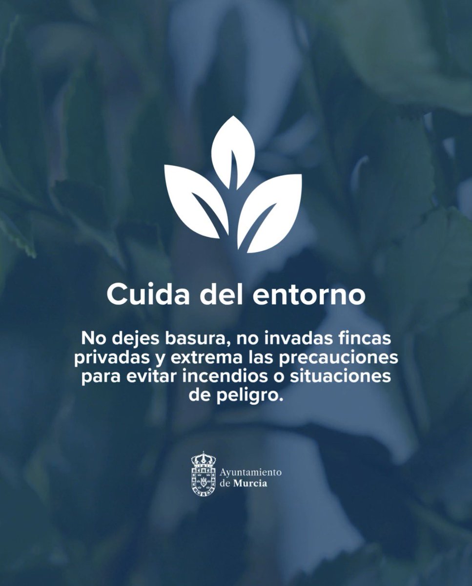AytoMurcia's tweet photo. Este 12 de agosto, desde las 19:30h, disfruta del eclipse con seguridad👇🏻

👀 Usa gafas homologadas.

💧 Lleva agua y protégete del calor.

🚗 Evita desplazamientos innecesarios.

🌳 Cuida el entorno y respeta los espacios naturales. https://t.co/4OVPNznlOR