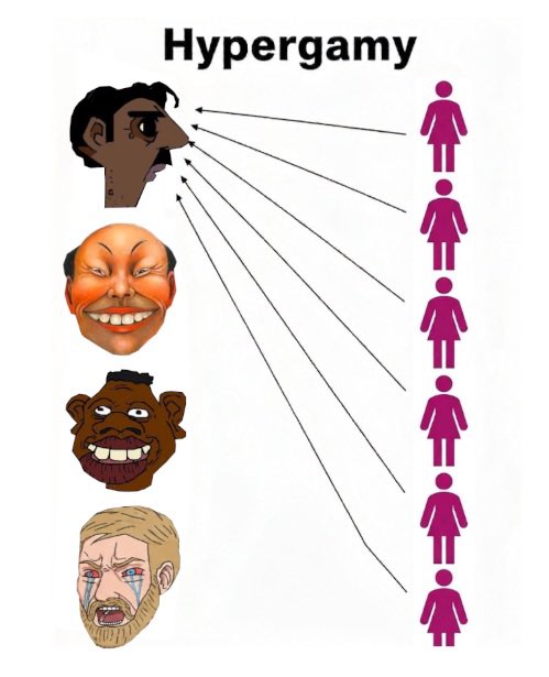 UBERSOY1's tweet photo. Life is hierarchical 🔺 https://t.co/39AROT10pm