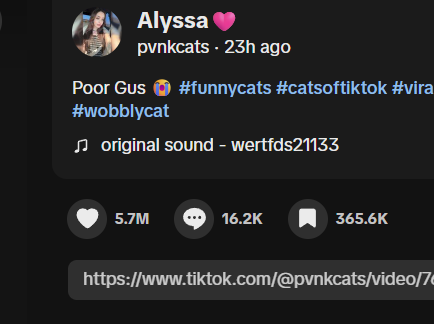 ddddddd8a's tweet photo. Found the most liked cat in 24hours in the past month

It's a cat going viral for being Fat as fuck and getting bullied called "Gus"

https://t.co/71peJWTuPy

6 MILLION LIKES in 23 hours, top comment is calling him "Fat and Furious" https://t.co/t9xhhM5QMe