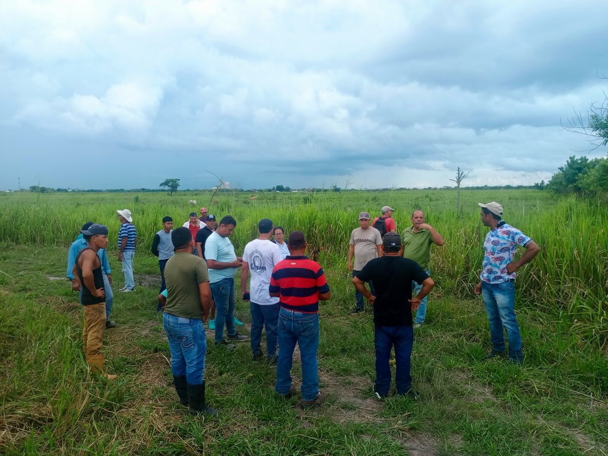 MaturinMrt's tweet photo. En escpaios del concejo campesino Simón Bolívar del mpio Maturín se dio visita a cada terreno, conociendo y ubicando a los parcelarios para lograr entender que las tierras son de quien las trabaja.
Siguiendo las líneas de nuestro partido organizando y empoderando al pueblo. https://t.co/WyomouLevQ