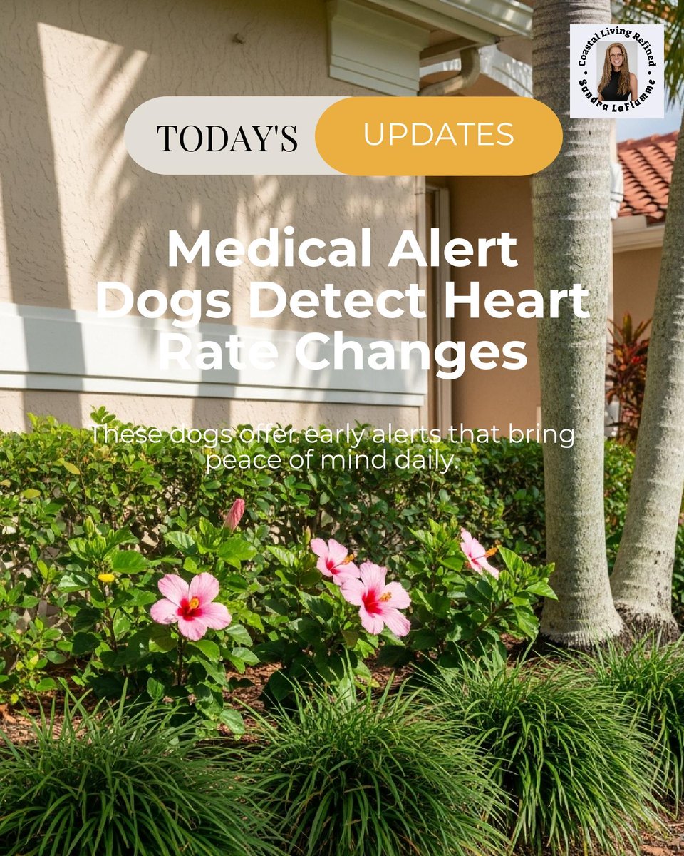 SandraELaFlamme's tweet photo. Medical alert dogs trained for heart rate changes use scent and behavior cues to give early, clear alerts, offering peace of mind at home and in public. 

How would this support help your life? https://t.co/JQRIEaiS5n