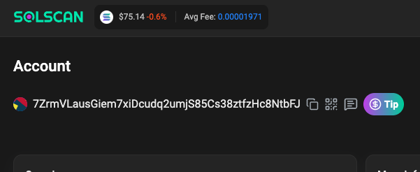 NutseyNut's tweet photo. @garyvee @Shoortsol @veefriends this is your sol address right? there is 40k donation sitting right there generated through trading fee. https://t.co/g6eMss0GVv