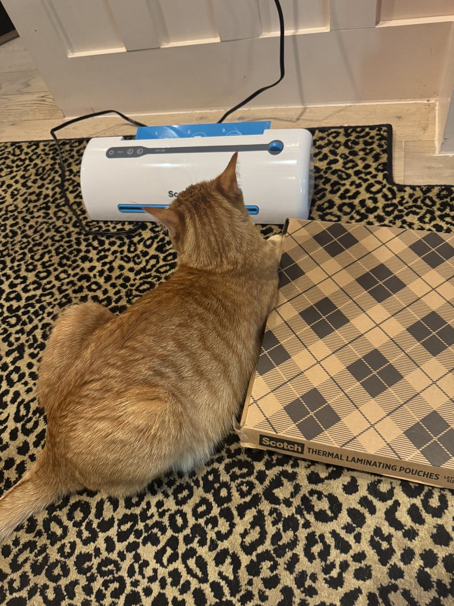 francis__wolf's tweet photo. my idiot child watching her favorite show: laminator https://t.co/6EwRL0A4WO