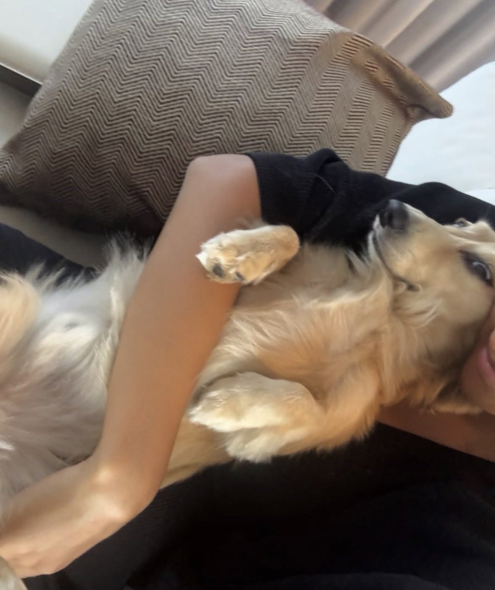guts4leclerc's tweet photo. mummy cuddles https://t.co/sOIdUtmigc