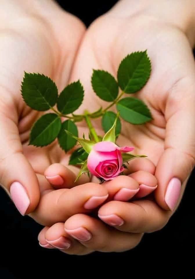 h7wd69's tweet photo. @vn3q1 متشرفين بمعرفتك عزيزتي الجميلة https://t.co/ihZI2uaDKJ
