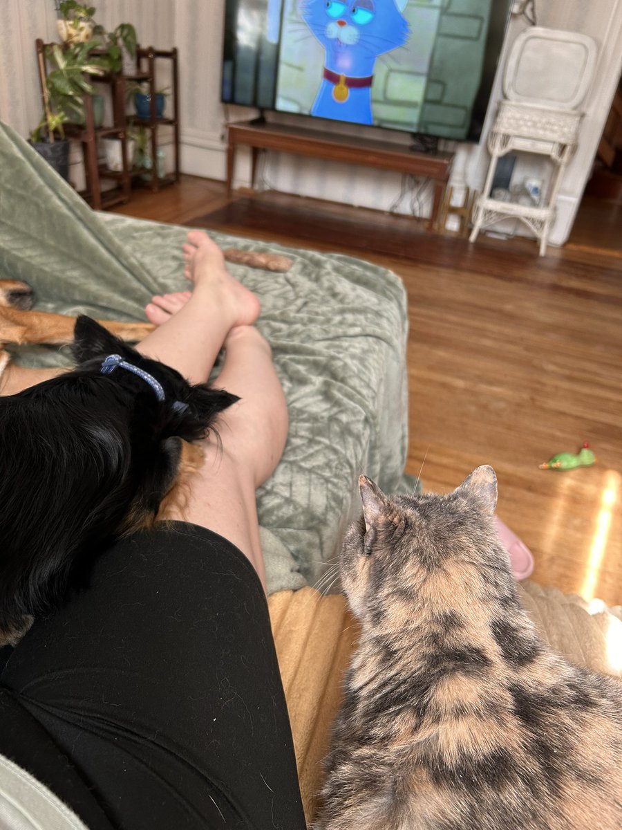 AndyWorkinv3's tweet photo. @rickygervais we started watching Alley Cats and my cat, Bella had some questions while my dog, Mortie was completely enthralled. They finally got on the same page; loved it and love you! https://t.co/yxZuHPor11