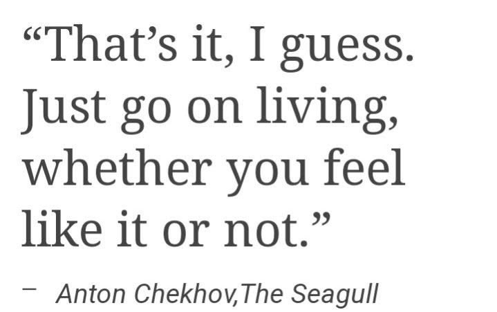 fw_serotonin's tweet photo. https://t.co/5kFDxyn5s0