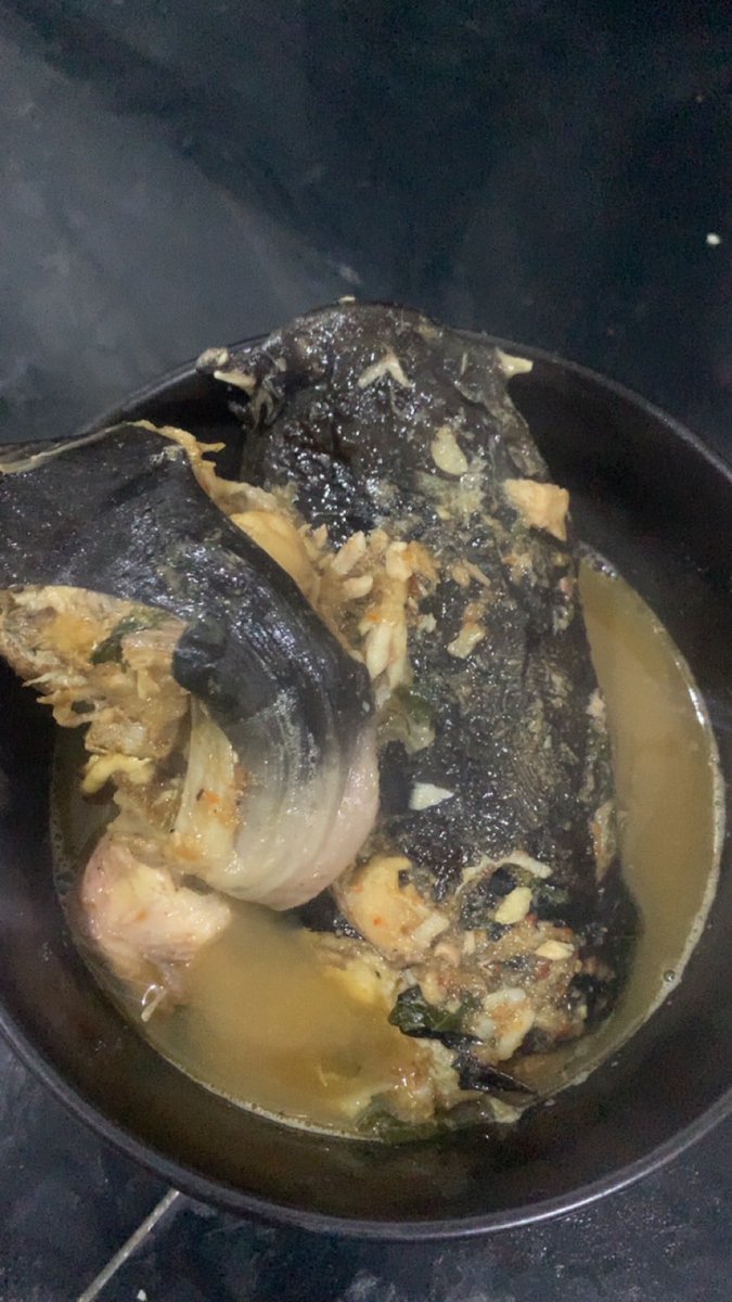 Splendidwzh's tweet photo. I made the best catfish. Eat or pass? https://t.co/QilIJBJCHL