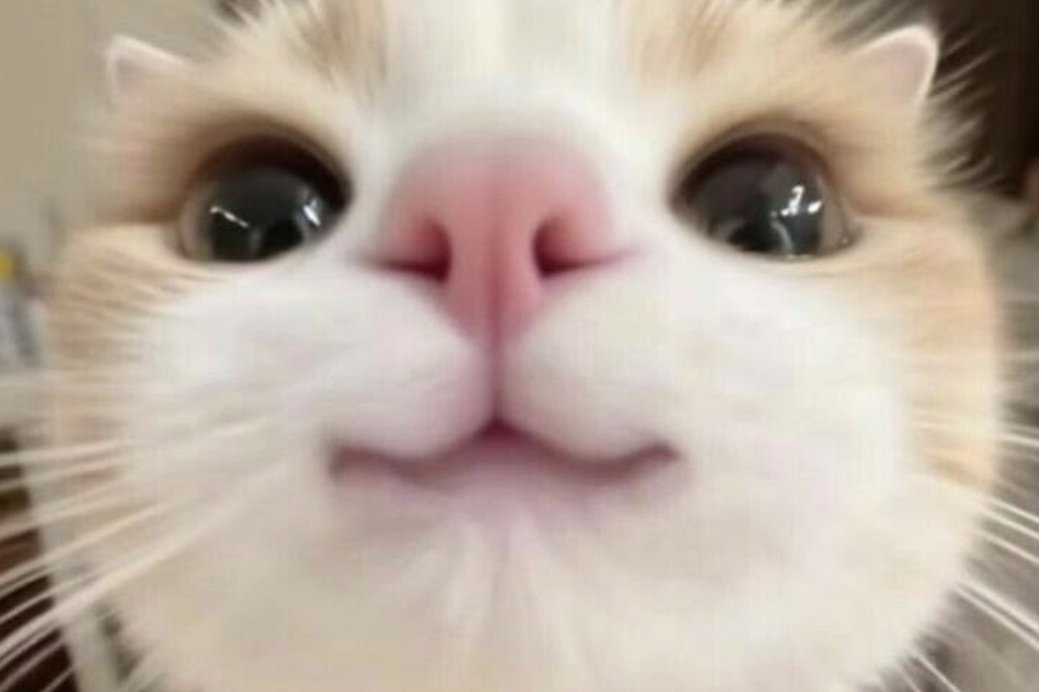 andiabax's tweet photo. test ht semoga lewat yaw #zonauang https://t.co/BlkuogrqCY