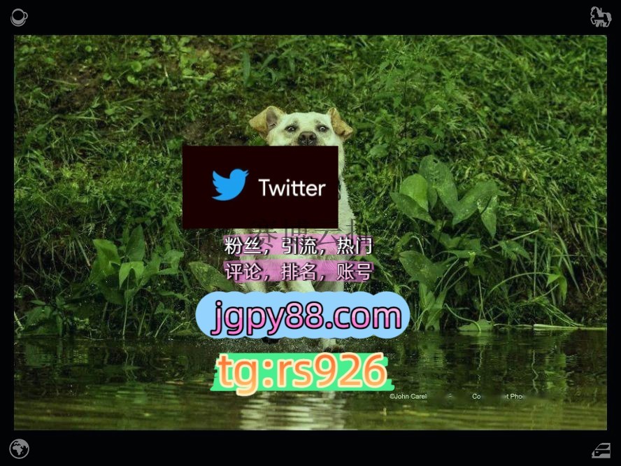 _____dewtree's tweet photo. Be confident but not arrogant now.
海外获客🌺互推助手🎌数字货币🍁自动脚本外🚞facebook注册号
点赞号推特账号上热门拉萨
热门号海外流量、品牌推广、社媒营销围424146代发
矩阵互动🌞輔助工具🌂开门代发南京   🗳客.服看→资.料
推特脚本instagram😁 https://t.co/4Q9SgWZKi8