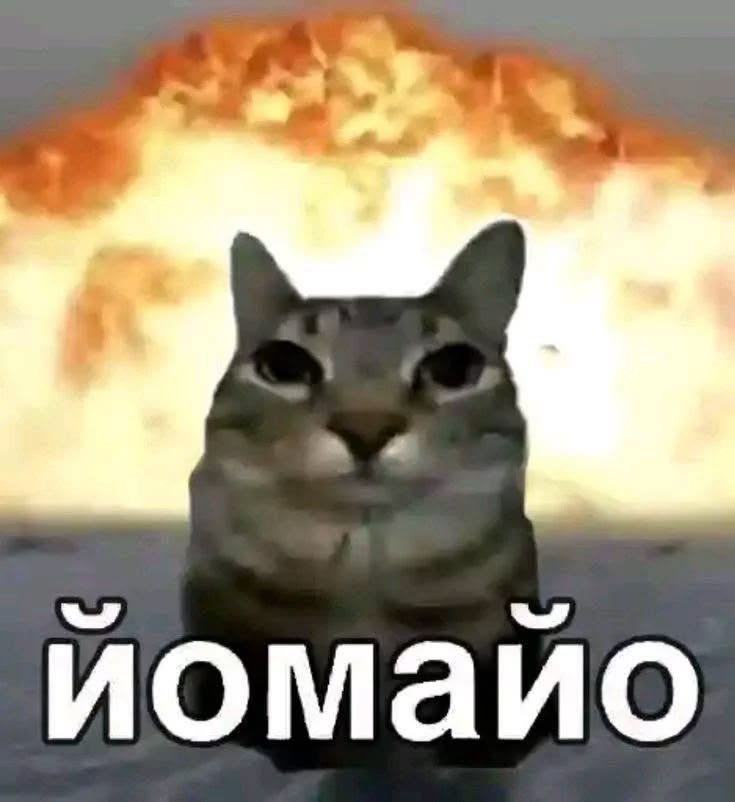 Sadddasshole's tweet photo. Когда вкидываешь кому-то инфу про своих родственичков как очередной типичный прикол
А никому не смешно https://t.co/DPs9pRhleo