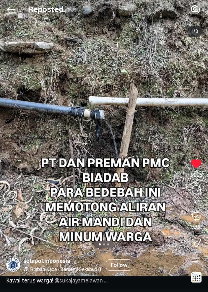 _MasWis tweet picture