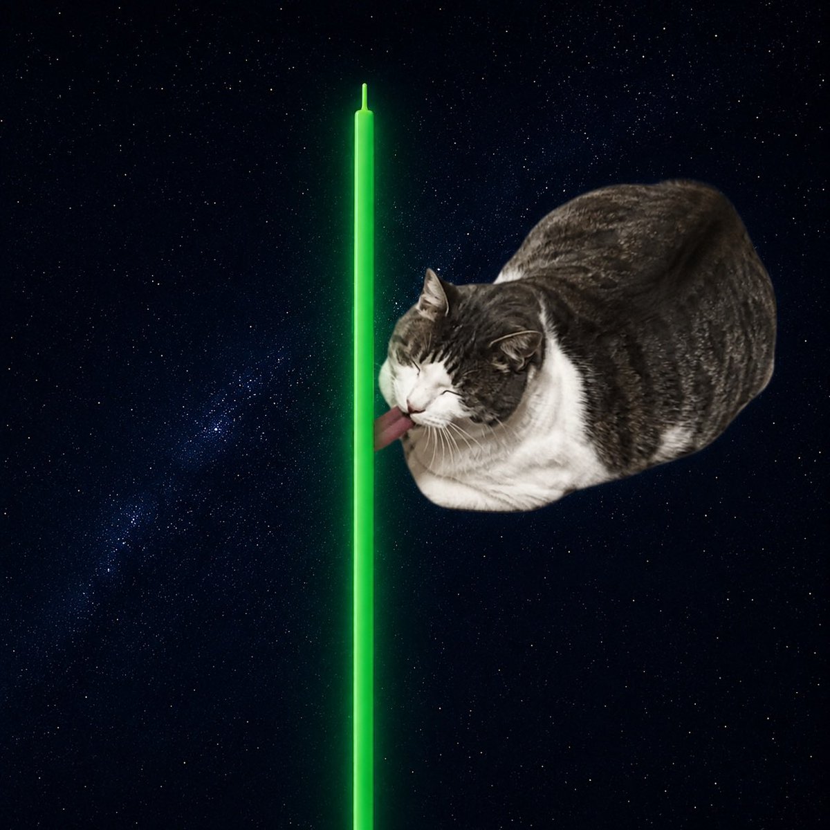 worldlickingcat's tweet photo. @watchingmarkets lick in 👅 https://t.co/SEqH3o6eIx