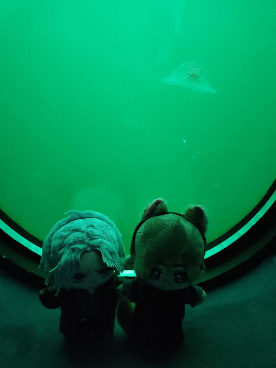 Faro1325's tweet photo. Just went with Leon and Dante into a diving gondola in the Baltic Sea. Sadly, we only saw some jellyfish 😔
#ResidentEvil #devilmaycry #Leonkennedy #DanteSparda #Danteleon https://t.co/xAm1izrlLi