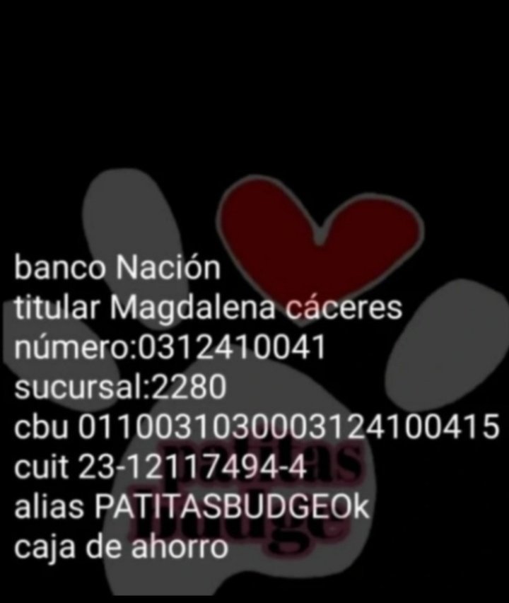 patitas_budgeok's tweet photo. https://t.co/hUeBOY1xou 
4000

https://t.co/nZdZm45BSv 
5000

https://t.co/N0sOzRYwg6 
8000

https://t.co/YYp1OIL4JA
9000

https://t.co/7Gha0zF2od
10000
ALIAS PATITASBUDGE
TITULAR MAGDALENA CACERES https://t.co/c48m4S2iJh