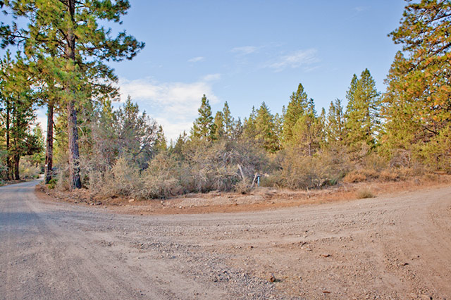 BillyLand's tweet photo. Oregon land 2.3 Acres Ponderosa Pines Highway Close
Beautiful Wooded Land With Natural Clearings

https://t.co/Wu70F0ZlbV https://t.co/4MZ1kxrq17