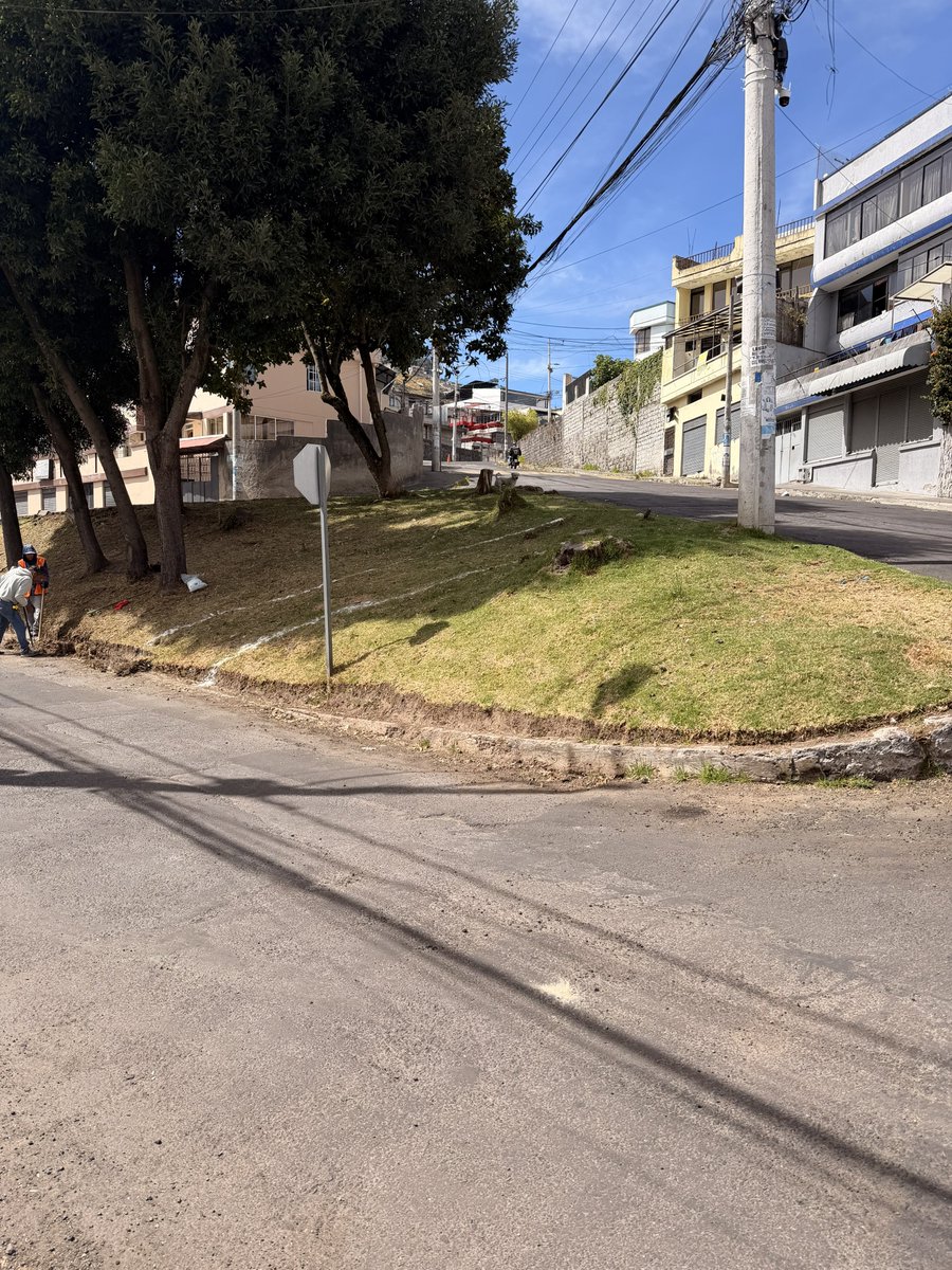 EdisonSenz3's tweet photo. @AVeeduria2 En el barrio jardín del valle el asesor de una concejala correista mandó a tumbar unos árboles y está haciendo una parada de bus en un sector innecesario gastando la plata en vano y las calles hecho pedazos https://t.co/1ESMZErNzl