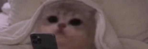 JamCatRH's tweet photo. message meadgod. receive Jam Cat. https://t.co/eGuTLSrMda