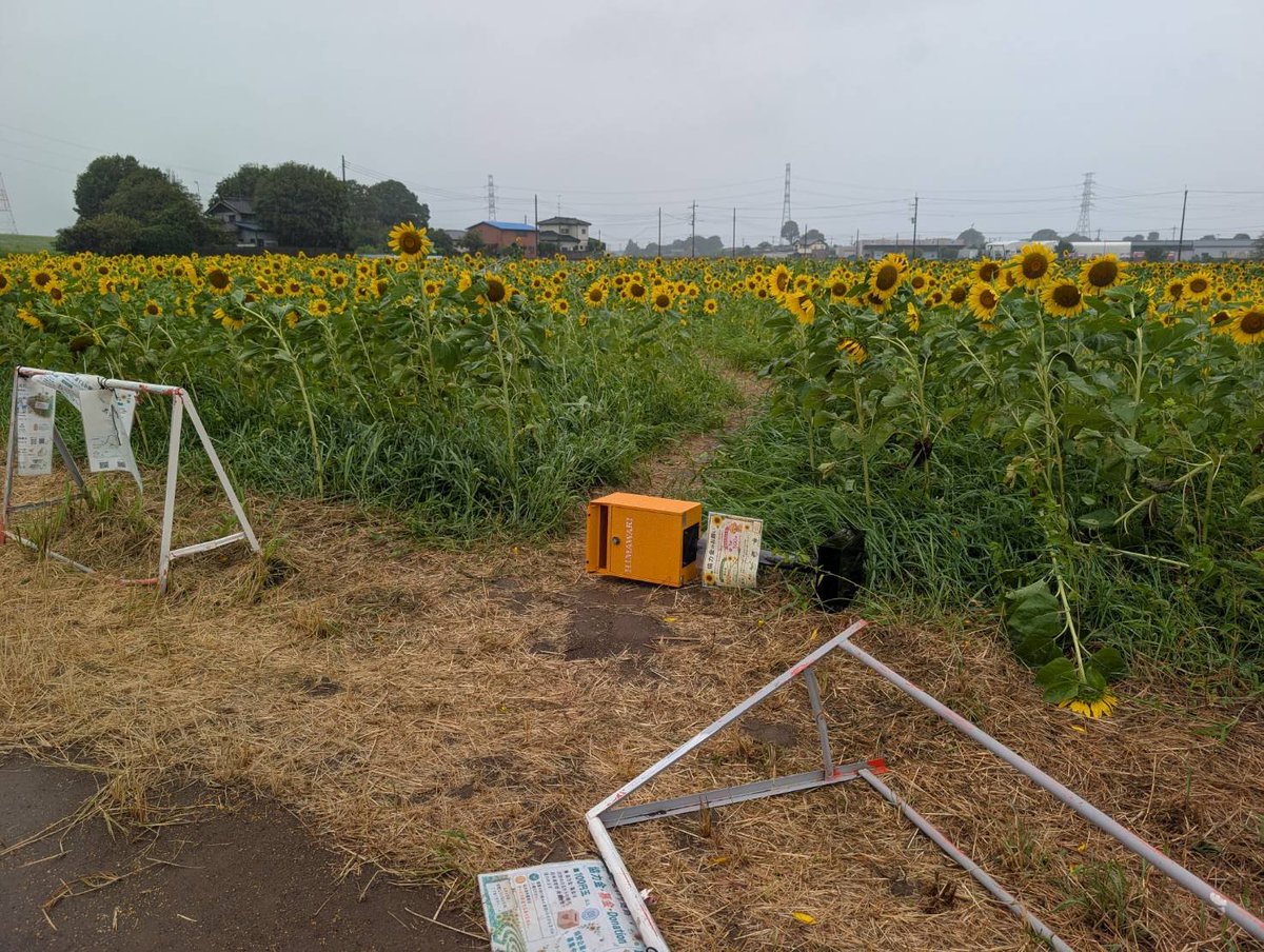 endofarm831 tweet picture