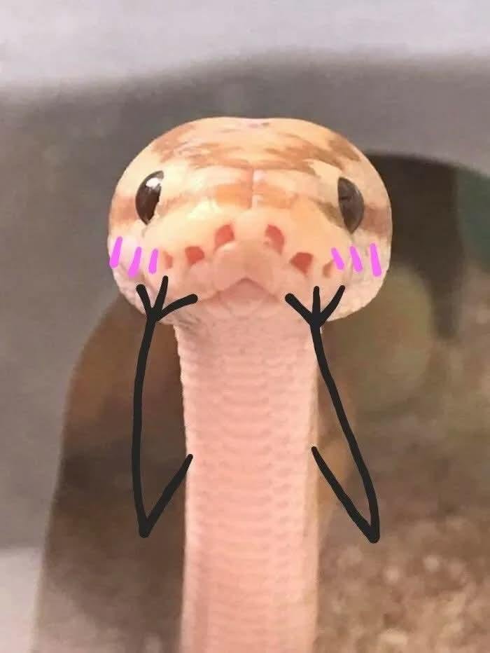seronun50tonu's tweet photo. Aşkooo geçen bi sokmuşum olayyy 💅😘 https://t.co/XcTR7Dvpo6