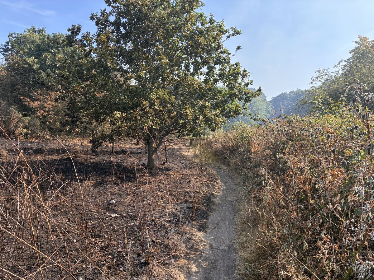 Booker______'s tweet photo. Not sure when this fire happened but there was a blaze here earlier today, but this looks like it may have taken place earlier this summer. Look how close the fire got to the properties. 

#Mansfield #photography #wildfires https://t.co/IPuufVoDQm