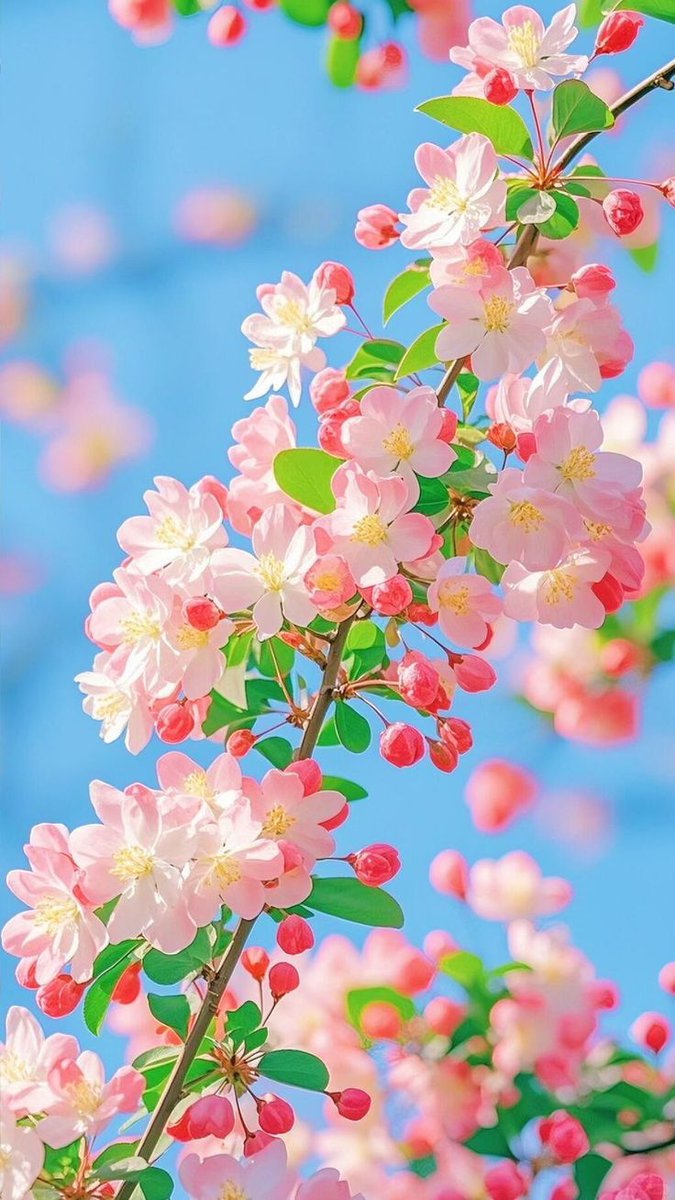 Solithra's tweet photo. https://t.co/1yUjJESKMW