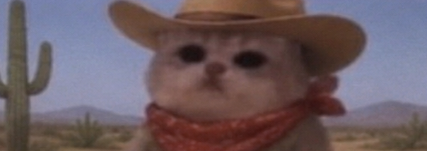 JamCatRH's tweet photo. this town belongs to Jam Cat https://t.co/iPx5dmN2tb