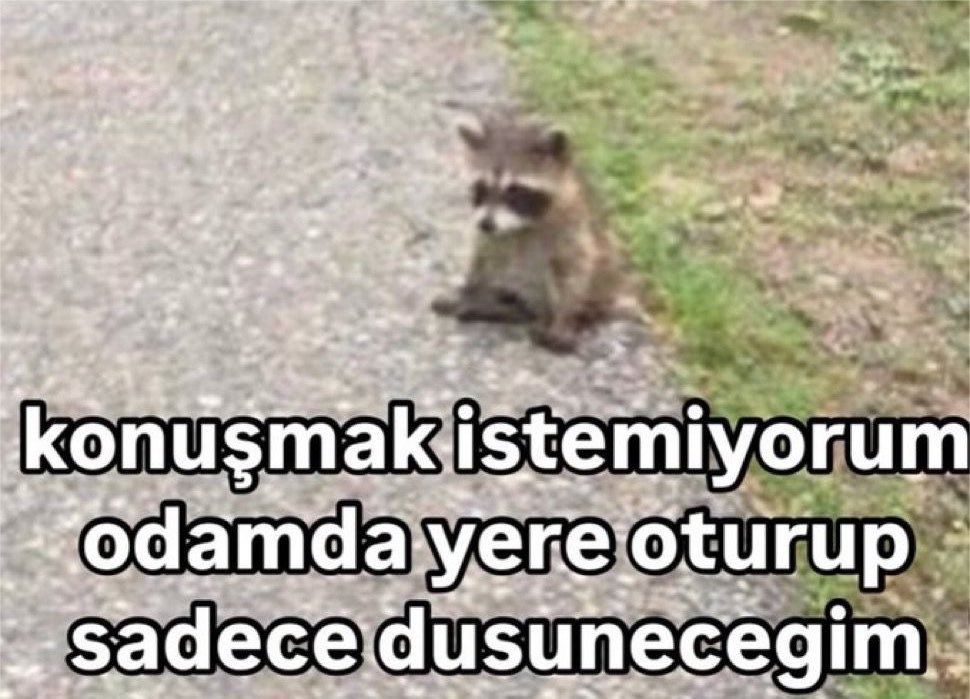 dertlifenerlii's tweet photo. Beni biraz bırakın https://t.co/LtLGnIbYaA