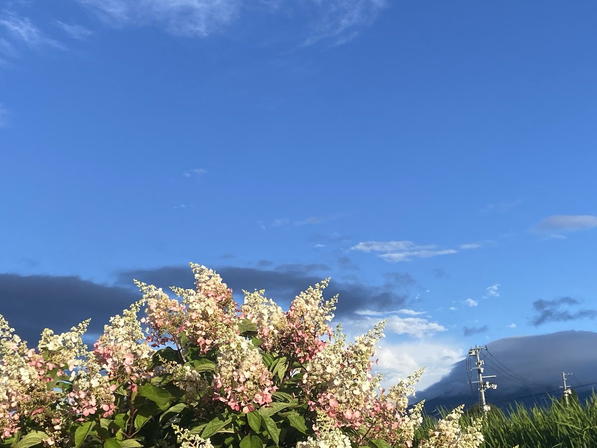 Charimoya's tweet photo. 純白からピンクへ
キレイだなぁ〜
青空   白い雲   黒い雲
   岩手山の頭がちょっと https://t.co/bp3QhMkipK