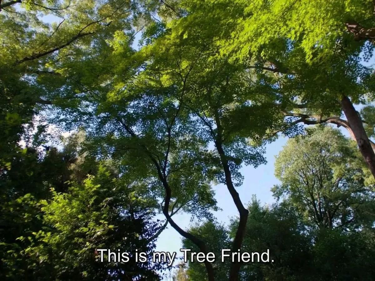 34rths's tweet photo. I freaking love trees https://t.co/e9gzVKWfXU