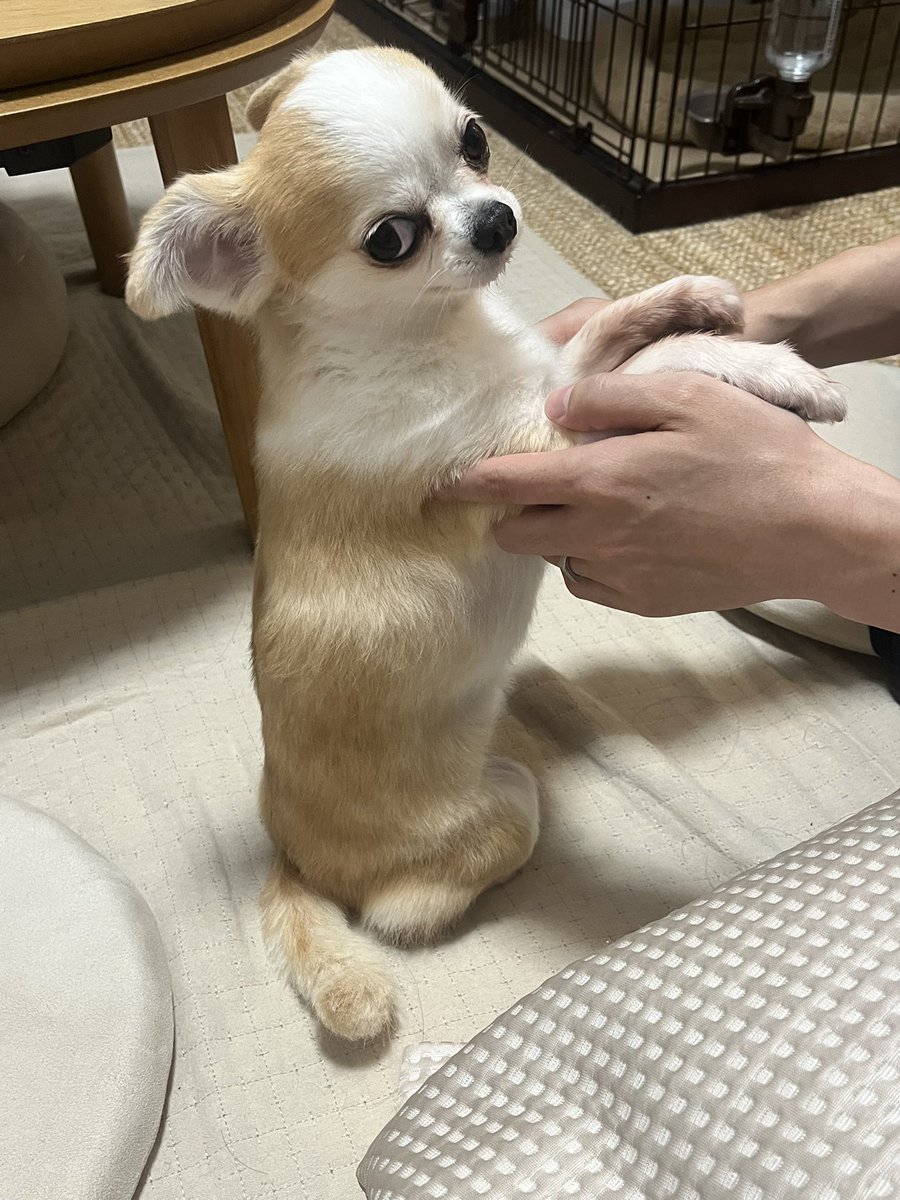 donyoku_jp's tweet photo. https://t.co/QurVwtWzU6