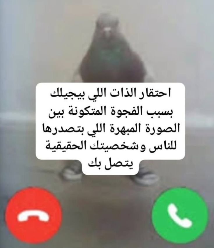 Ssilli33's tweet photo. يا اهلا وسهلا ومرحبا https://t.co/GBHNlNtNkm