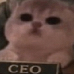 JamCatRH's tweet photo. business is booming $JAMCAT https://t.co/ffvAOIkVXE