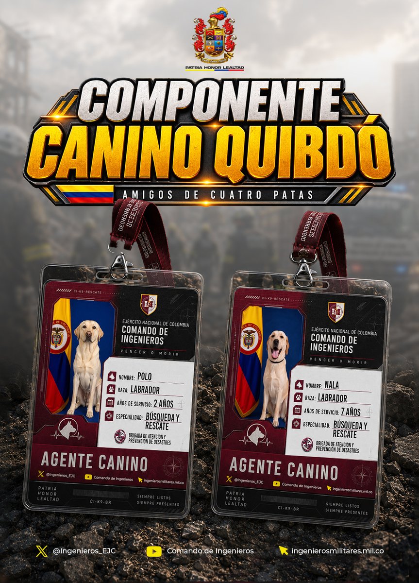 Ingenieros_EJC's tweet photo. #ParaDestacar I Conozca a los héroes de cuatro patas que hacen parte del componente canino del @COL_EJERCITO.

En medio de esta emergencia, seis caninos especializados despliegan sus capacidades junto a nuestros soldados rescatistas en Quibdó, Cali y Pereira.

🐕 Urko, Perla, Júpiter, Polo, Urbi y Nala ponen su entrenamiento y su extraordinario olfato al servicio de una misión, apoyar la búsqueda y localización de personas en medio de los escombros.

Porque detrás de cada búsqueda hay una familia que espera. Y ellos, junto a nuestros soldados, no pararán de buscar.

#AmigosDe4Patas
#FuerzasQueSalvanVidas