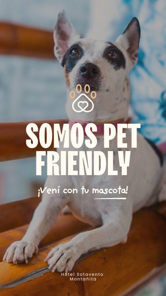 sotavento_hotel's tweet photo. 🐾 ¡En Montañita, nadie se queda afuera de las vacaciones! 💙
 ¡𝕊𝕆𝕄𝕆𝕊 ℙ𝔼𝕋 𝔽ℝ𝕀𝔼ℕ𝔻𝕃𝕐!
📍 En #Montañita 𝗛𝗢𝗧𝗘𝗟 𝗦𝗢𝗧𝗔𝗩𝗘𝗡𝗧𝗢 es TU lugar
#HotelSotavento #Montañita #PetFriendly #MontañitaEcuador #Ecuador #Vacaciones #Playa #ViajaConTuMascota #TuLugar #beach https://t.co/RIdwmIA6eC