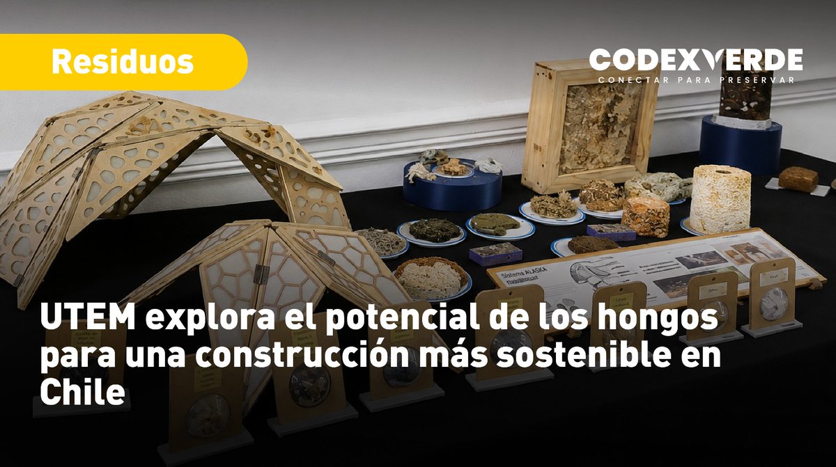 CodeXverde's tweet photo. 🏡🍄La investigación utiliza micelios —la estructura filamentosa de los hongos— para desarrollar paneles que podrían sustituir materiales derivados del petróleo y avanzar hacia soluciones de menor impacto ambiental para la industria de la construcción https://t.co/Yj9Zphzteg https://t.co/a7DsUuN7yX