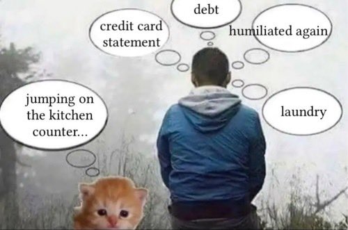 leonevermiss's tweet photo. I really wish that my thought process looked like this. https://t.co/ECLbKt6l6R